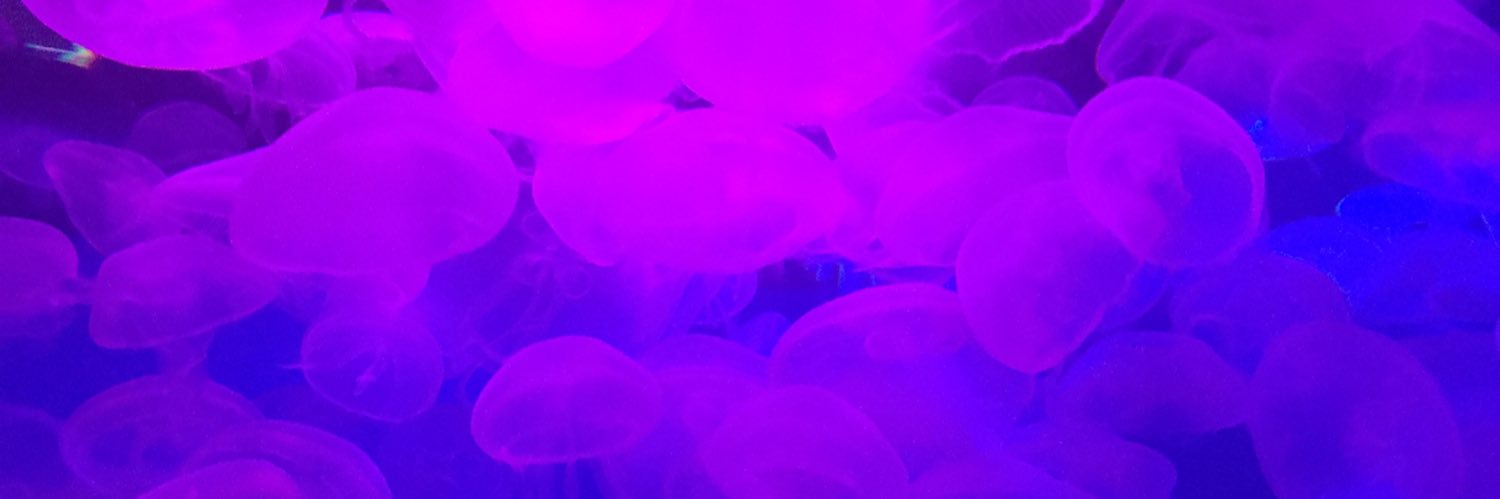 haymamaa's profile banner image