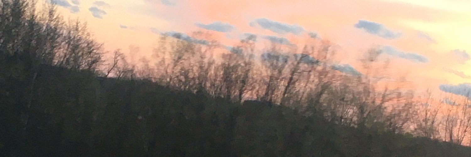 writingloser's profile banner image