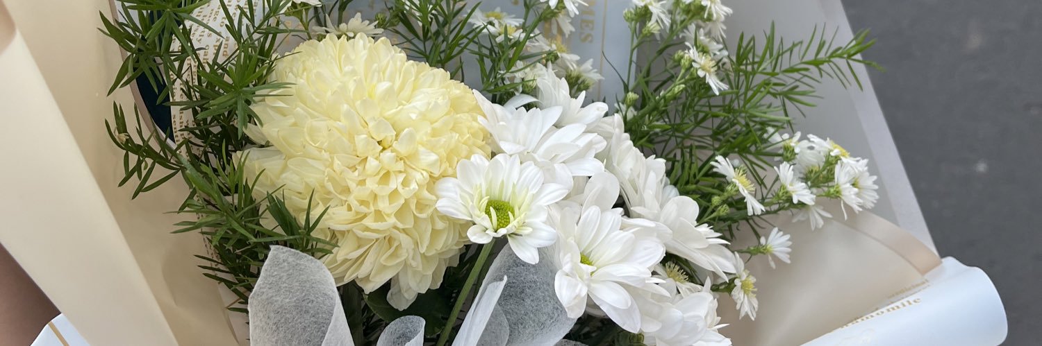 beautifulblure's profile banner image