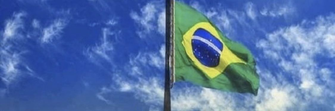 🇧🇷 Alexandre F22 banner