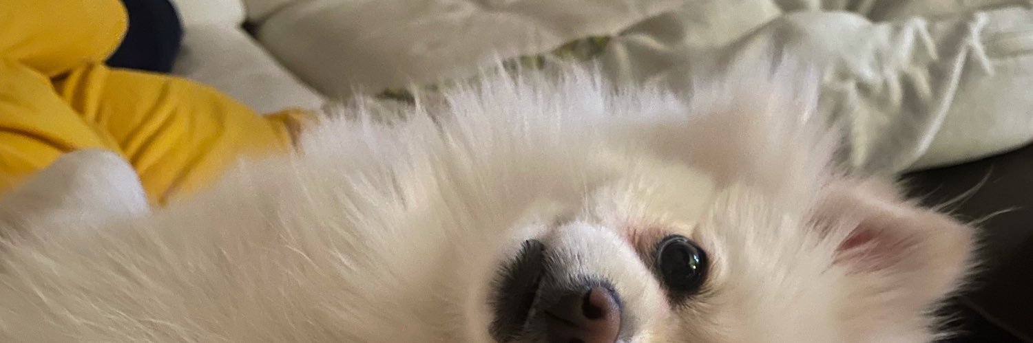 AlexisSestric's profile banner image