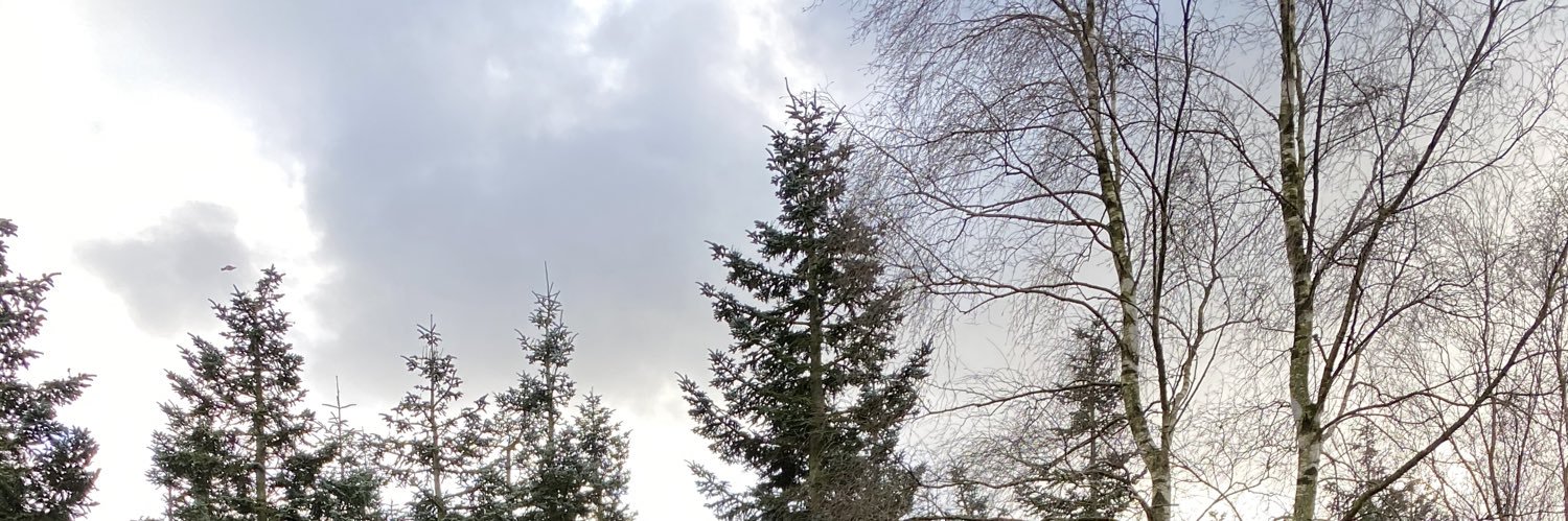 TheNewChaptr's profile banner image