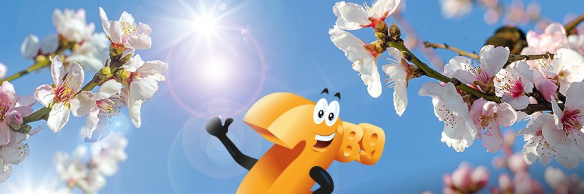 plusonlineshop's profile banner image