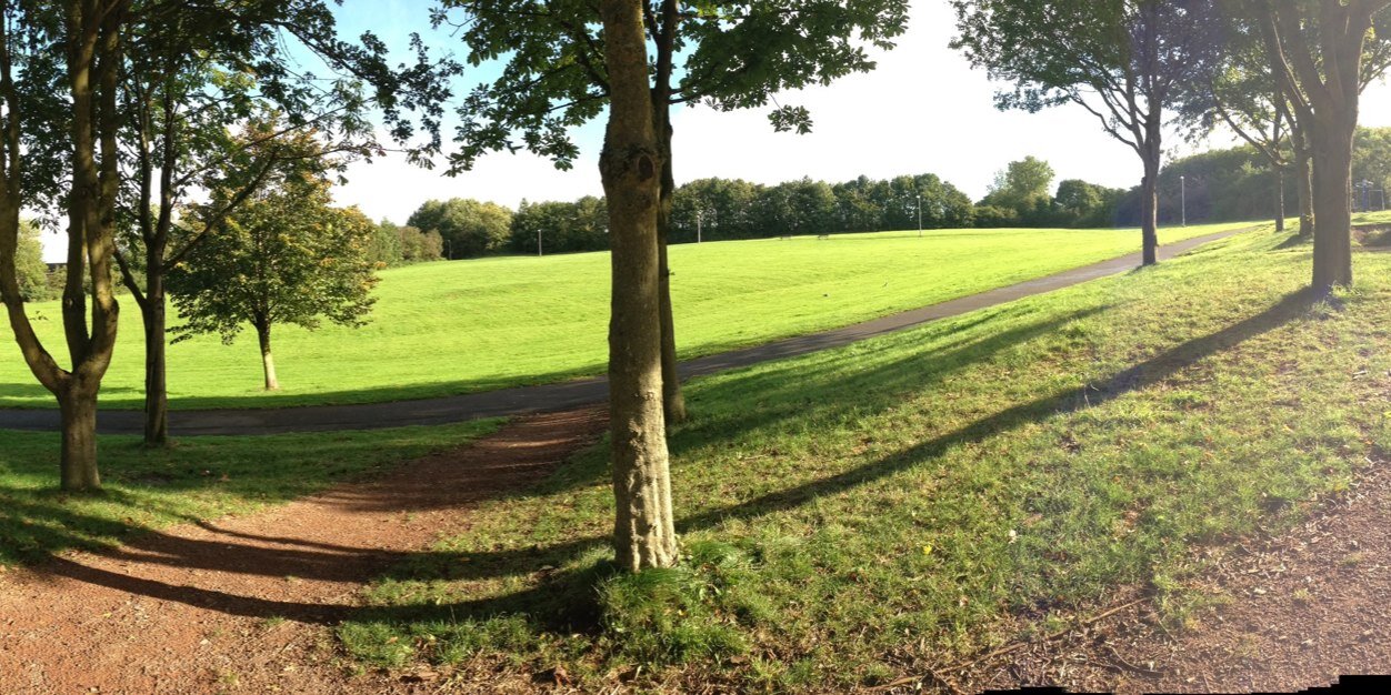 David Feather banner