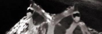 GregglePoof's profile banner image