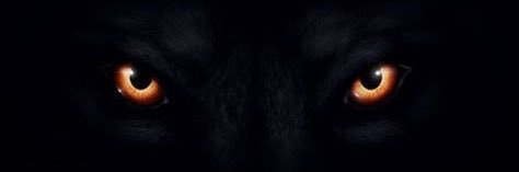 vinaldeecm's profile banner image