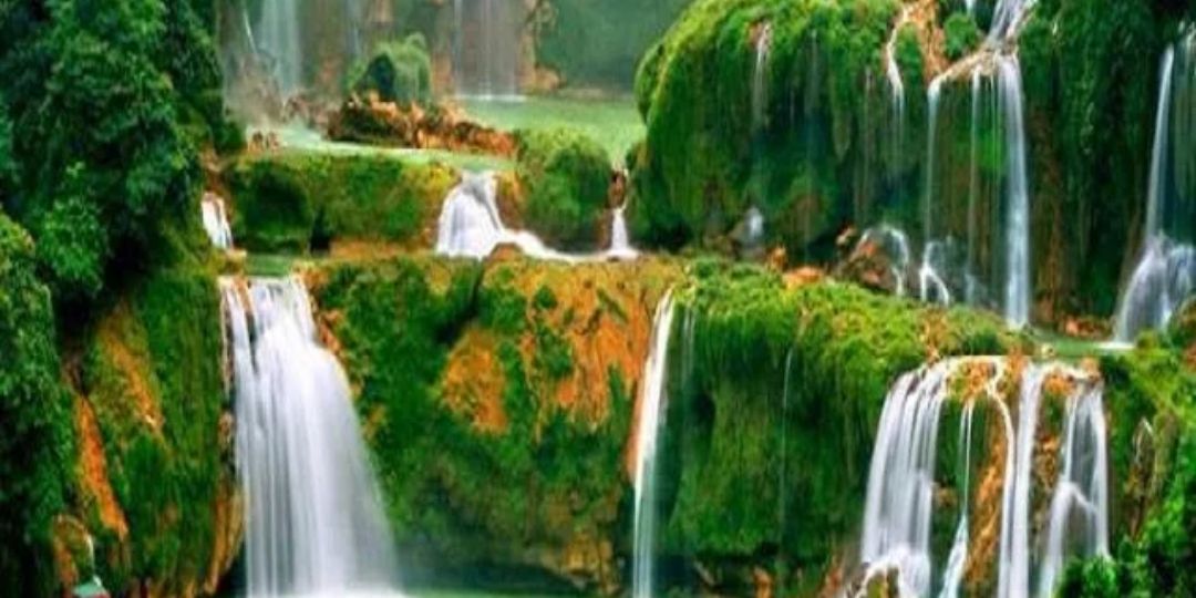 أبوخالد ألحربي banner