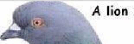 wuzzup33's profile banner image