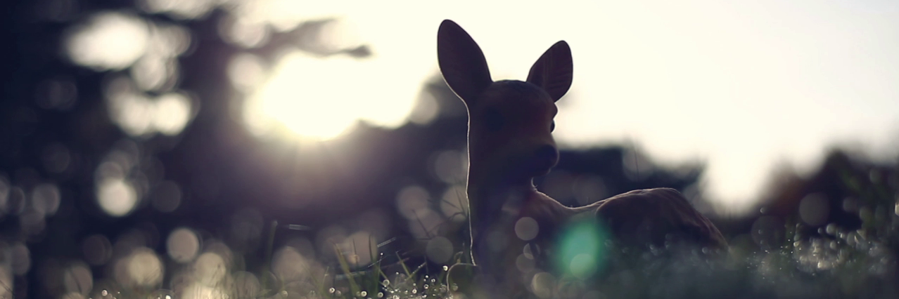 vdswouter's profile banner image
