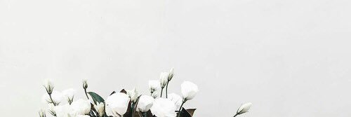 sara_michelin's profile banner image