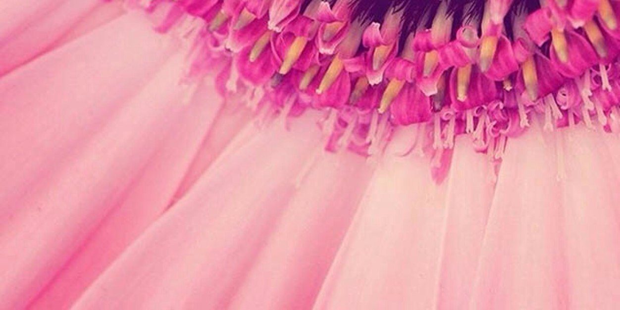 RainRose84's profile banner image