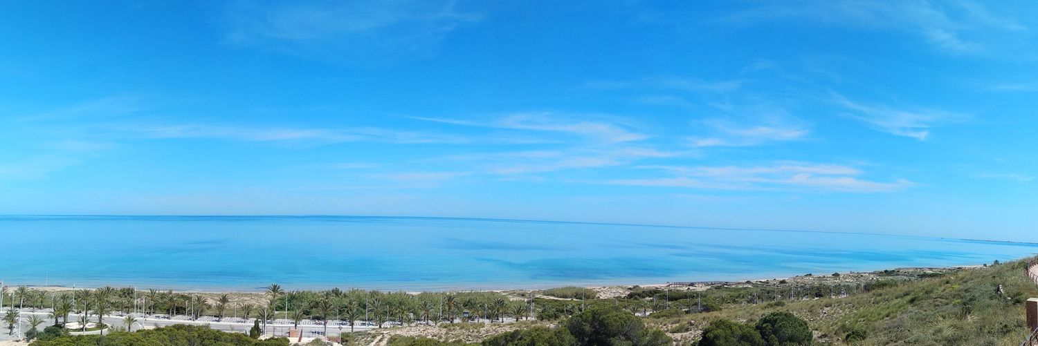 Álvaro Bernabéu banner