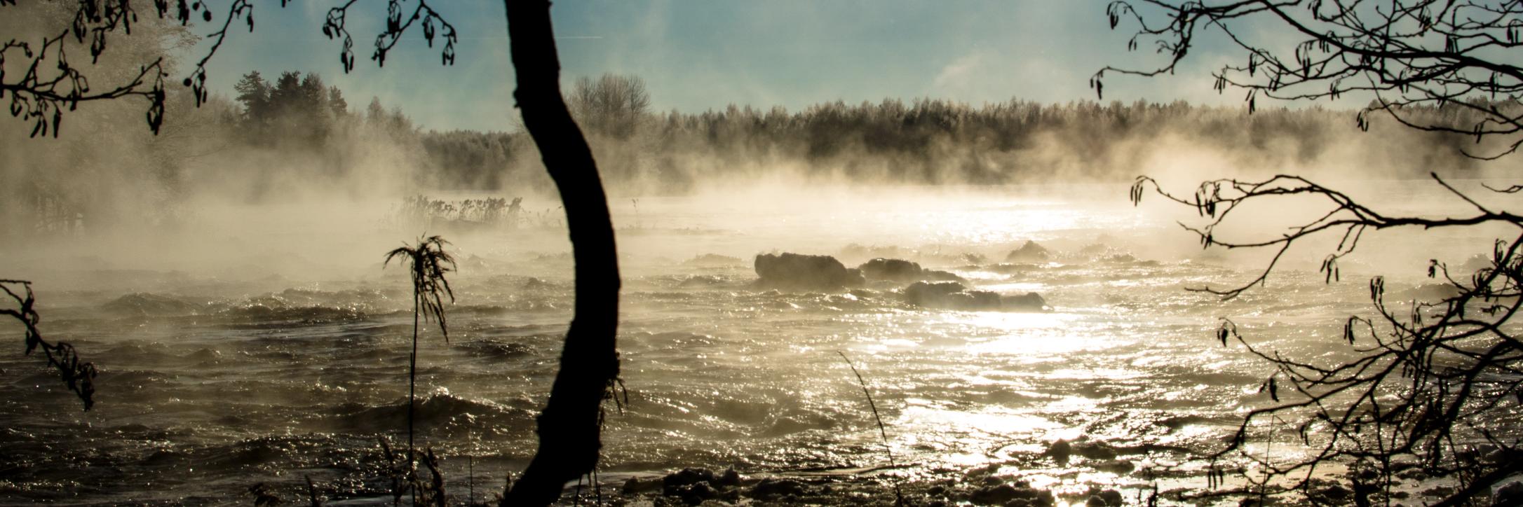 Antti Parjanne banner
