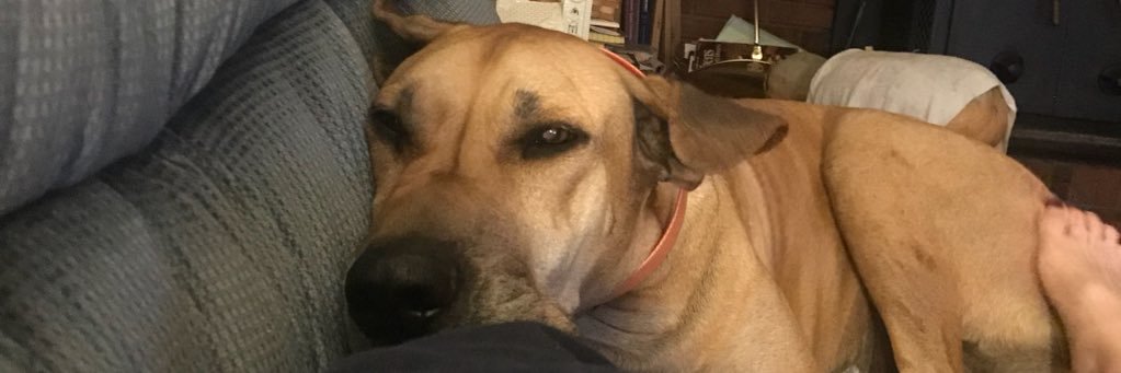 thebobbert's profile banner image