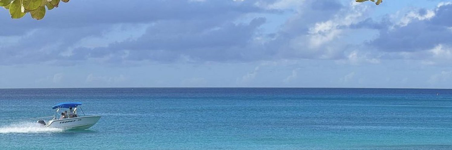 bchlsara's profile banner image