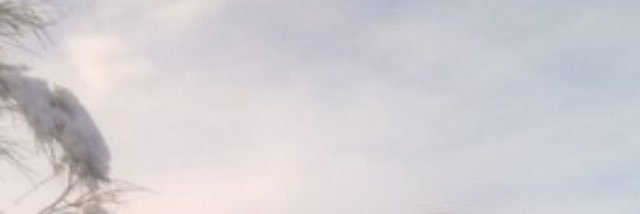 12Assos's profile banner image