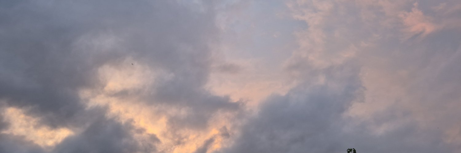 evoltanya's profile banner image