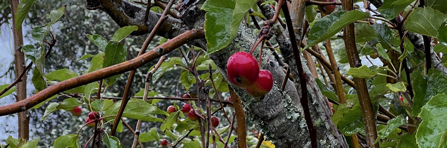 Toby__Tee's profile banner image