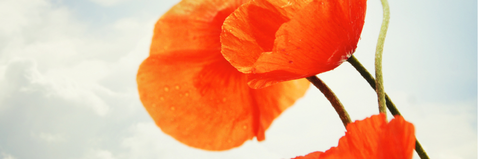 CommeUneImage_'s profile banner image