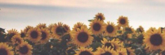 fvckcollin_'s profile banner image