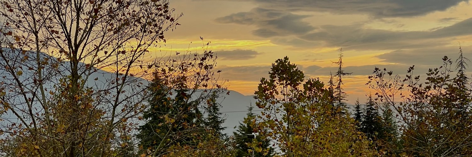 semra_aitaouri's profile banner image
