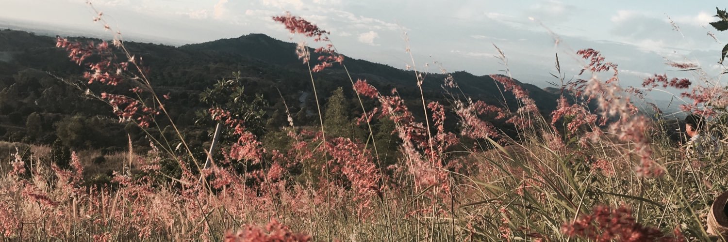 freeenchfries's profile banner image