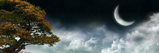 erlin_ain's profile banner image
