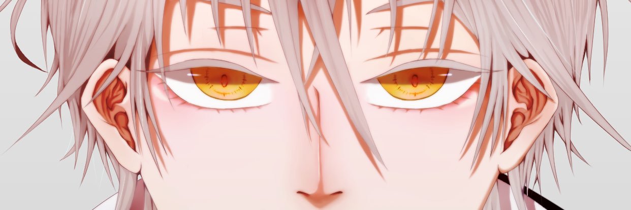 two_book_wolf's profile banner image
