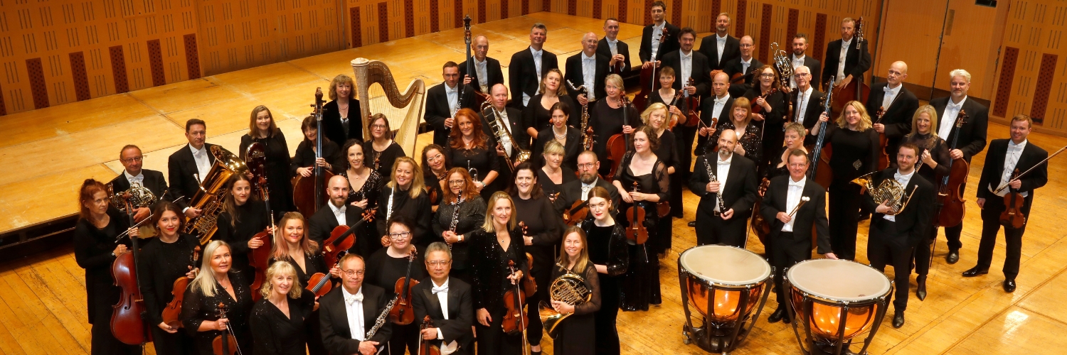 National Symphony Orchestra Ireland's banner
