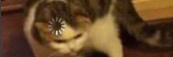 LFolbroeck's profile banner image