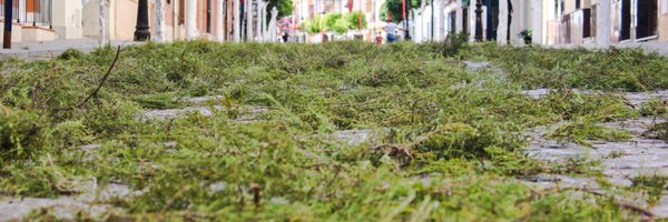 RafaGlez11 Profile Banner