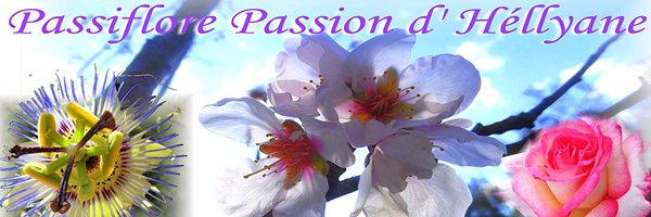 hellyane83 Profile Banner