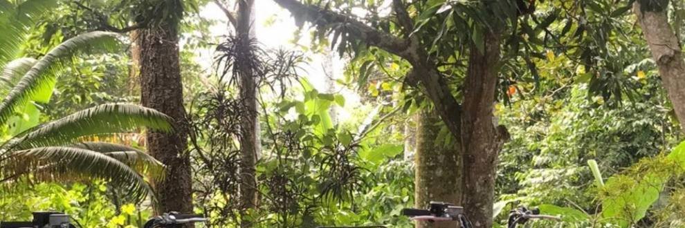 meelankh1's profile banner image