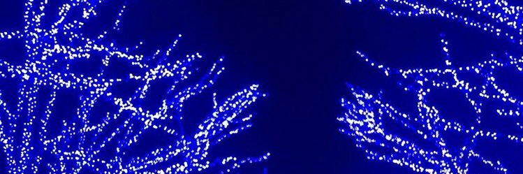 rinngo0116's profile banner image