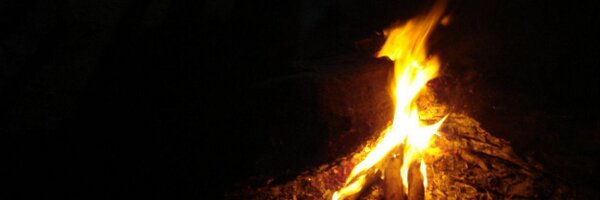 Judith_Ley Profile Banner