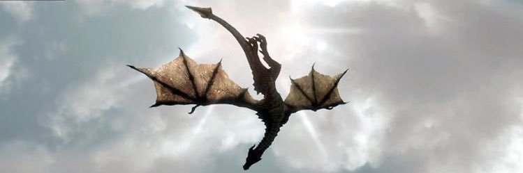 sharjayne's profile banner image