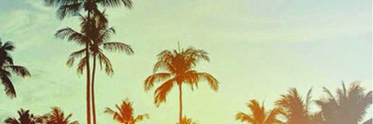 Maaky_o9's profile banner image