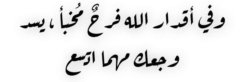 de123mh's profile banner image