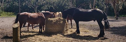 LadyTweet's profile banner image