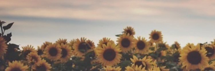 _marcerivera's profile banner image