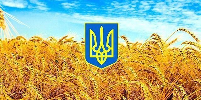 MarkoKozak's profile banner image