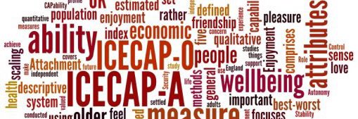 ICECAP measures banner