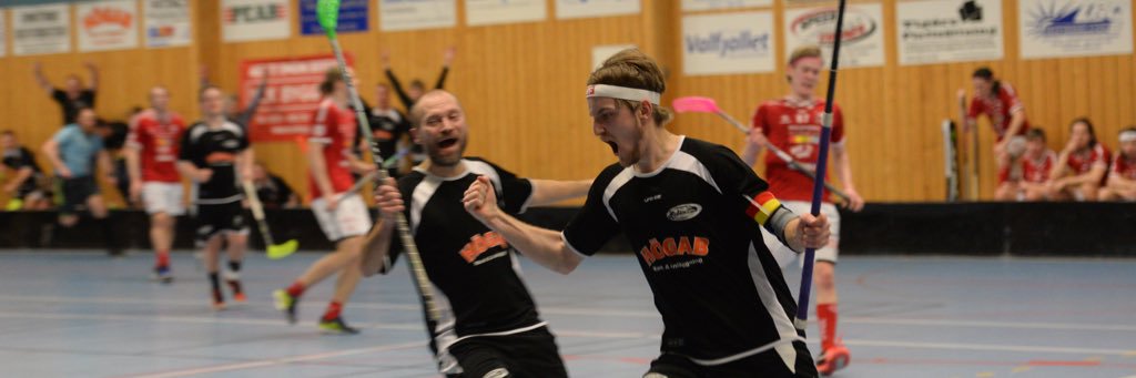 Åmotfors Eagles banner