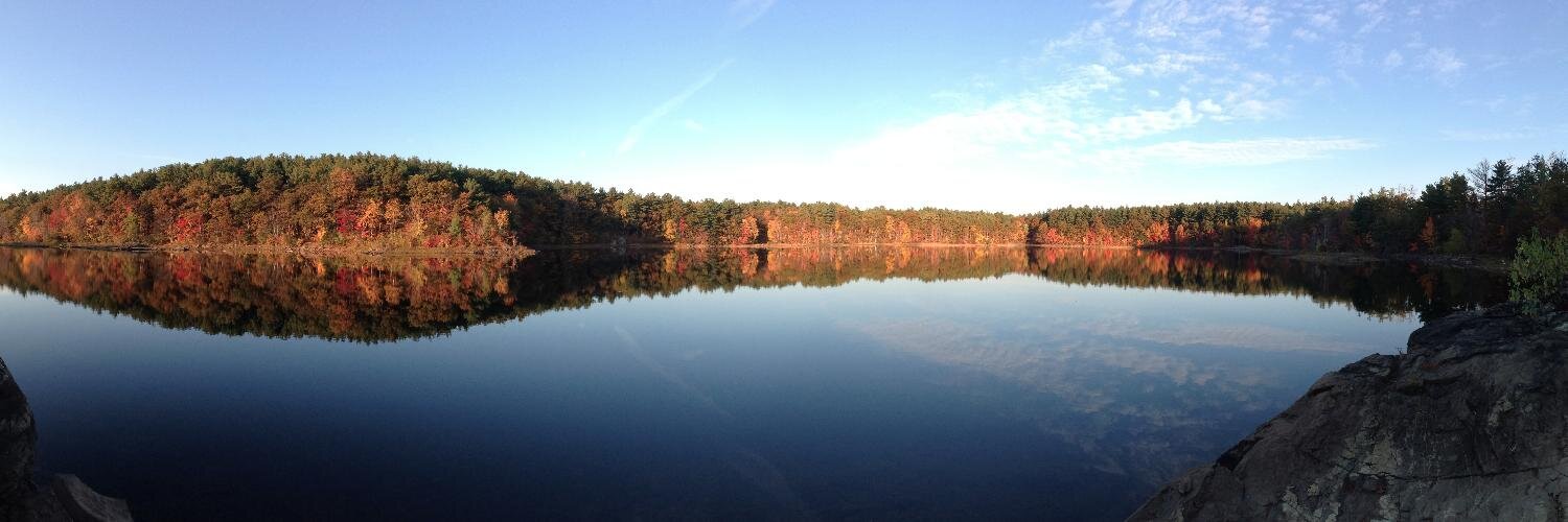 Nettie Lagace banner