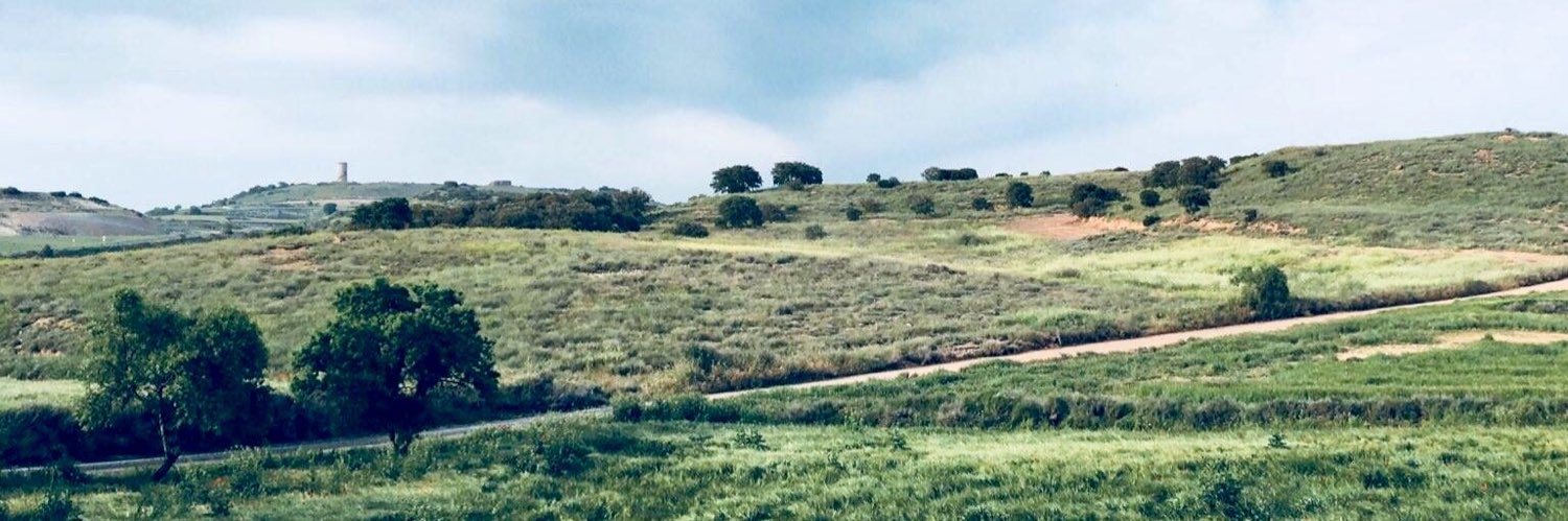 Cal_Canela's profile banner image