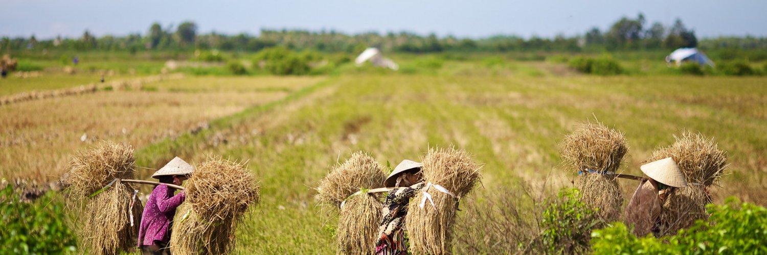 FCDO Agriculture Research banner