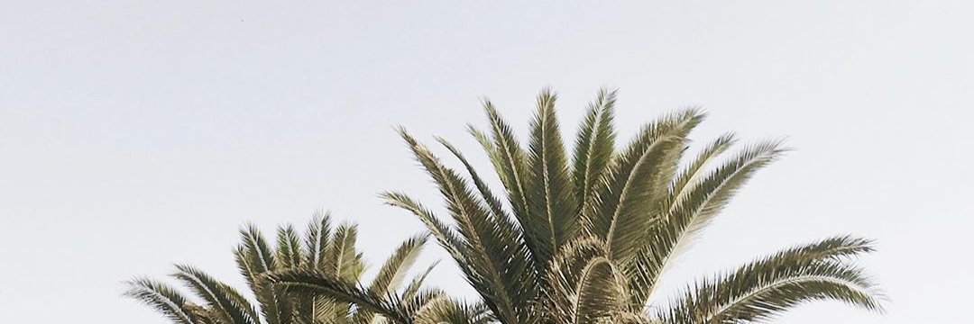 bangdipra_'s profile banner image