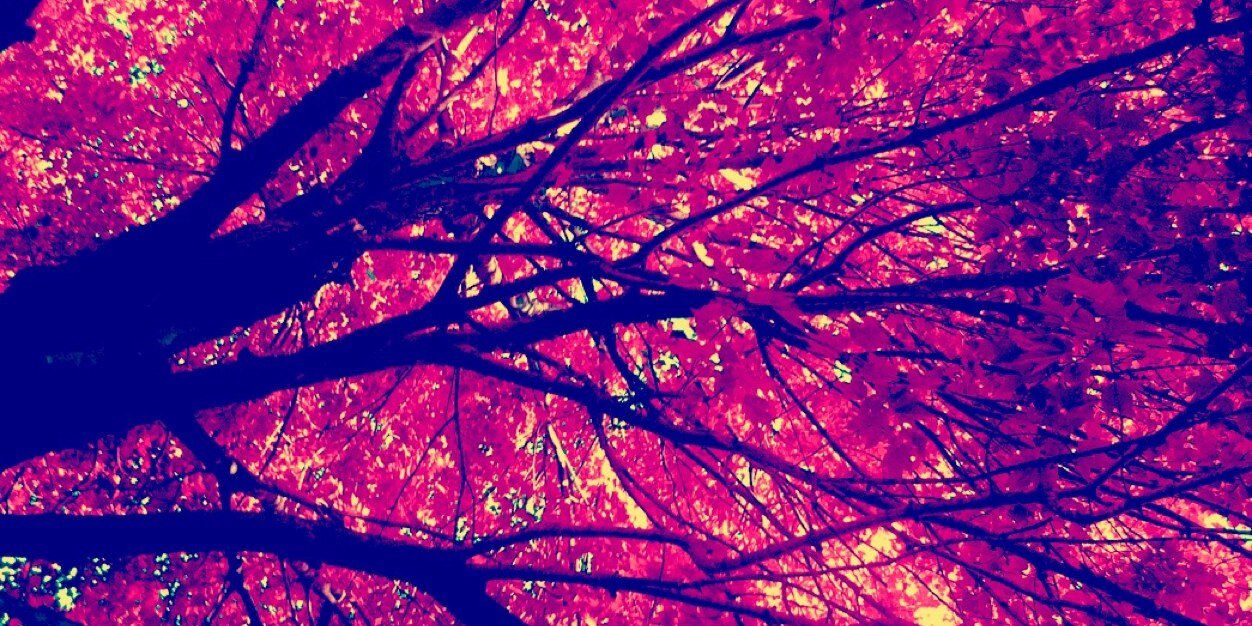 ishaboipow's profile banner image