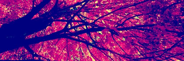 ishaboipow Profile Banner