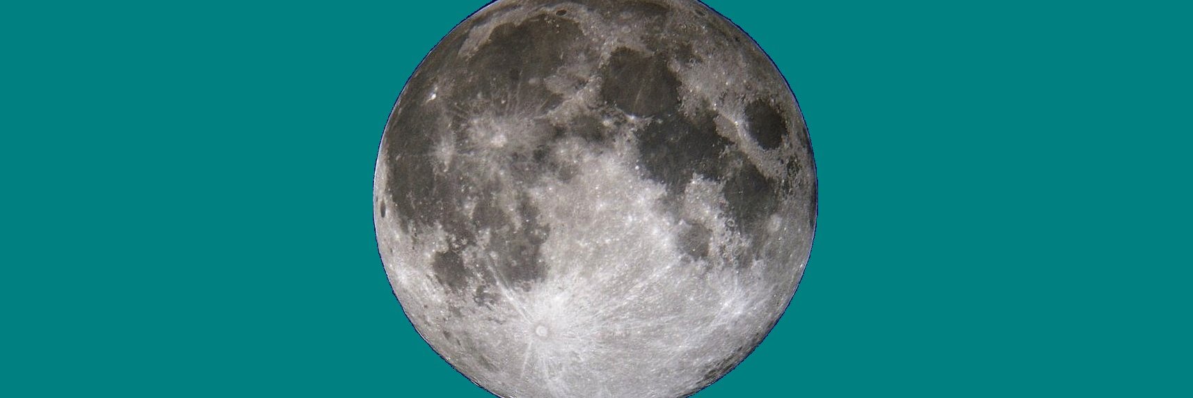 山田陽志郎 Yoshiro Yamada banner